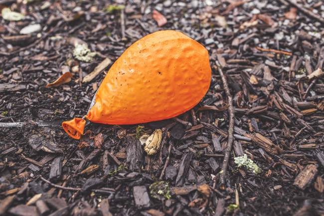 Why Blogging Is A Waste Of Your Time Blog Tyrant - 