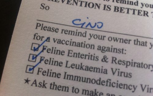 Reverso de la tarjeta de recordatorio del veterinario