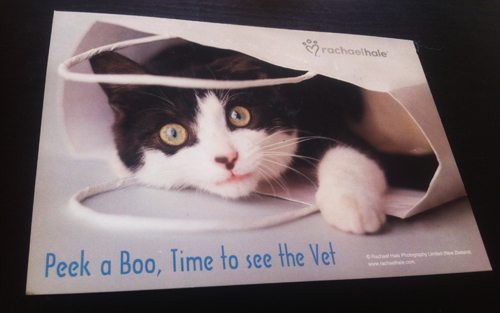 Vet reminder card