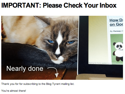 email cat