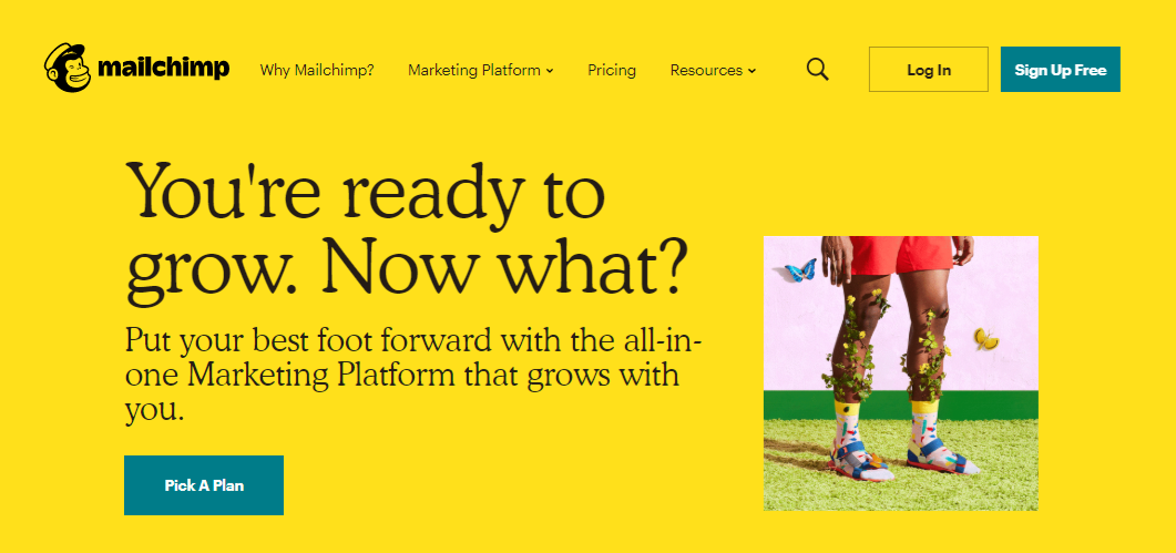 MailChimp - Blog Tyrant Mailchimp