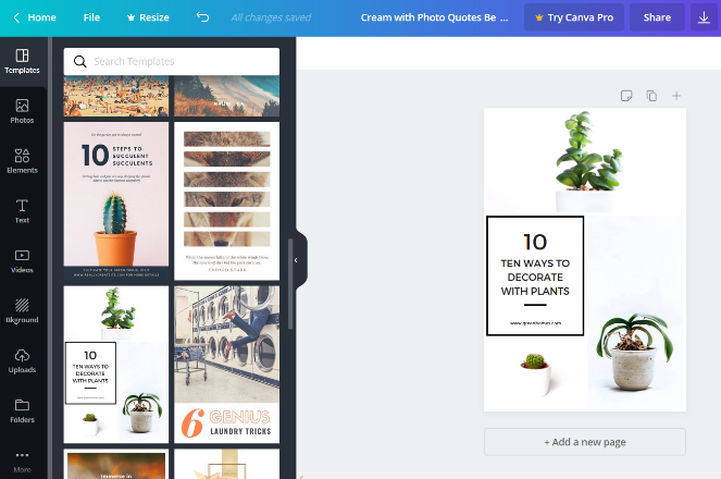 canva templates