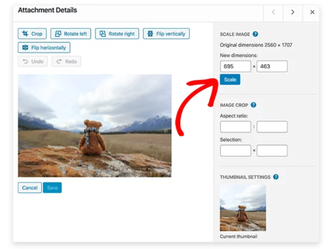 resize-images-wordpress - Blog Tyrant resize-images-wordpress