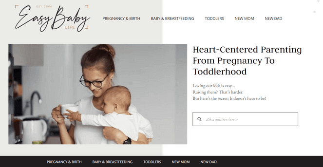 Easy Baby Life mom blog example