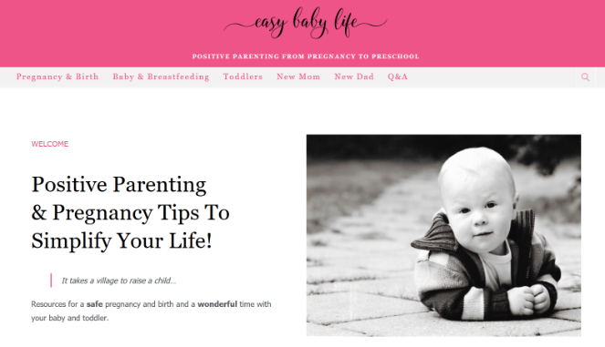 money-making-mom-blog-easy-baby-life