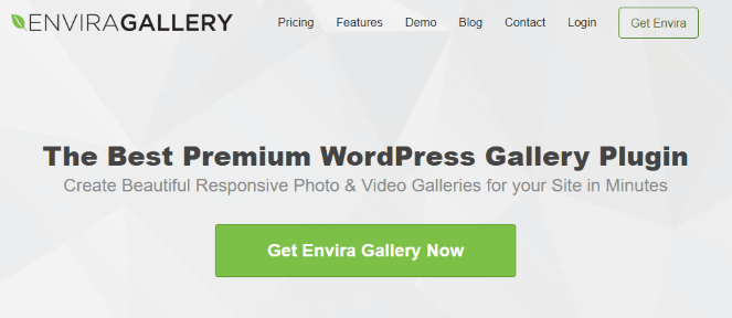 Envira Gallery plugin