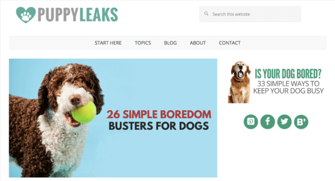 types of blogs that make money - pet blog example