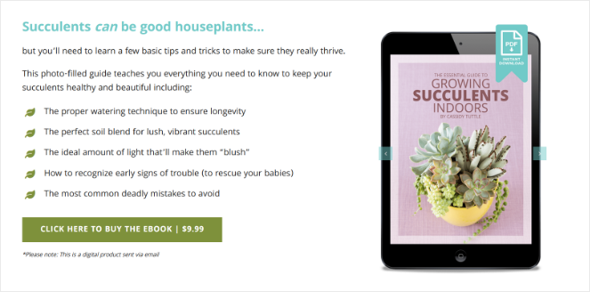 succulents-and-sunshine-buy-ebook