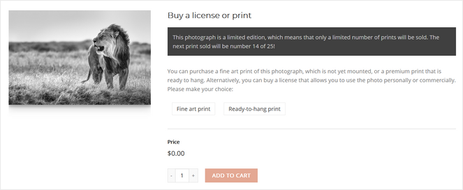 add photography prints to cart