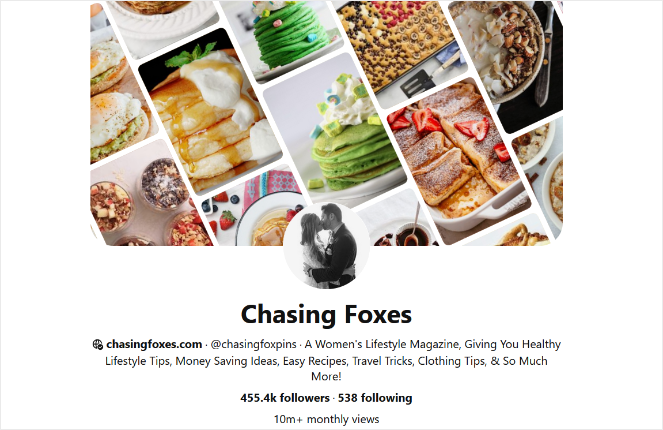 chasing foxes pinterest profile example