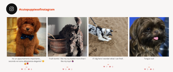 sb - Blog Tyrant instagram hashtag feed example