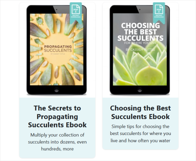 create ebooks to showcase your expertise