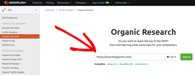 enter domain name into organic research semrush