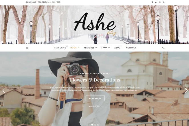 ashe free wordpress theme for bloggers