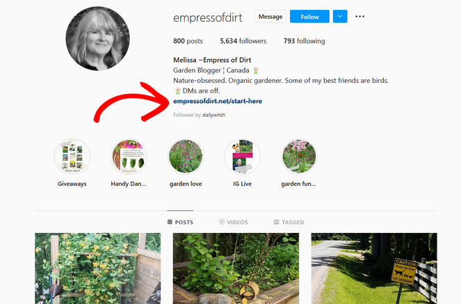 Promote your gardening blog on Instagram