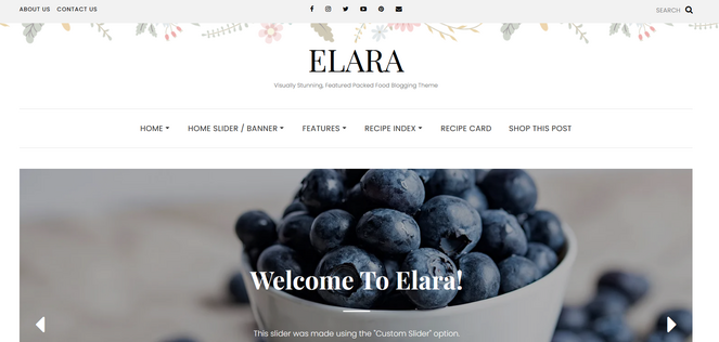 Elara Pro food blogging theme