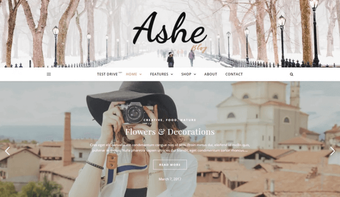 Ashe WordPress theme