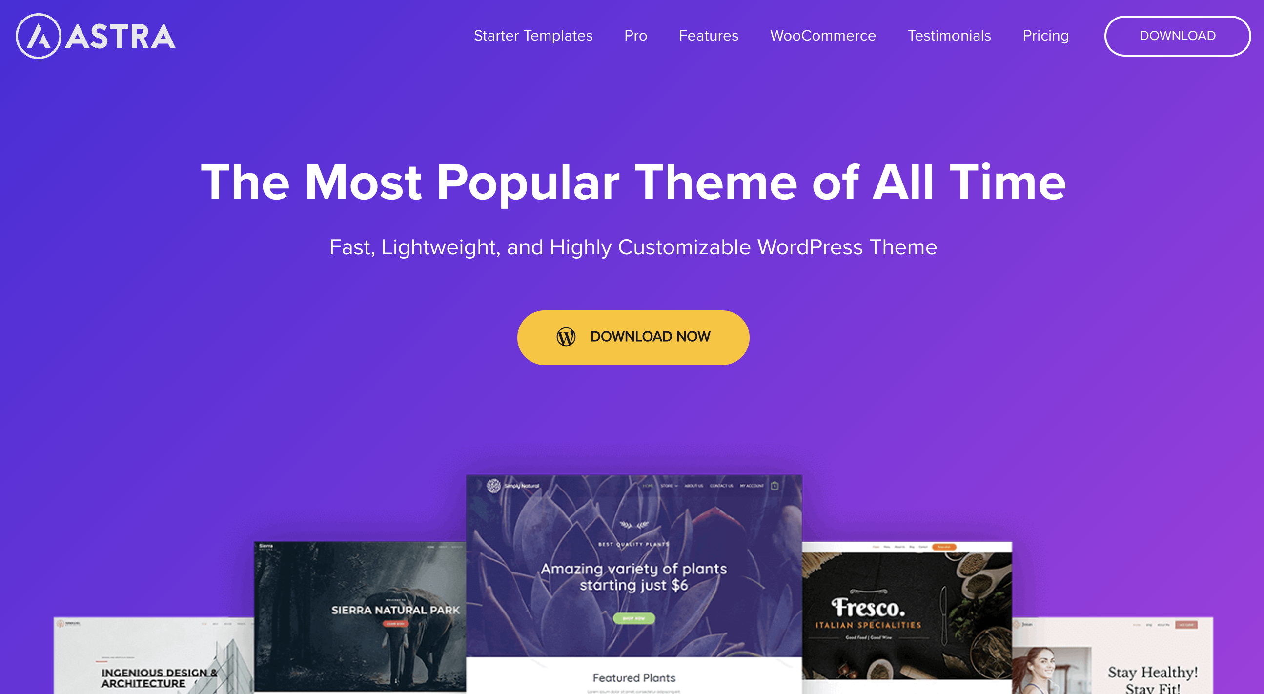 astra wordpress theme.