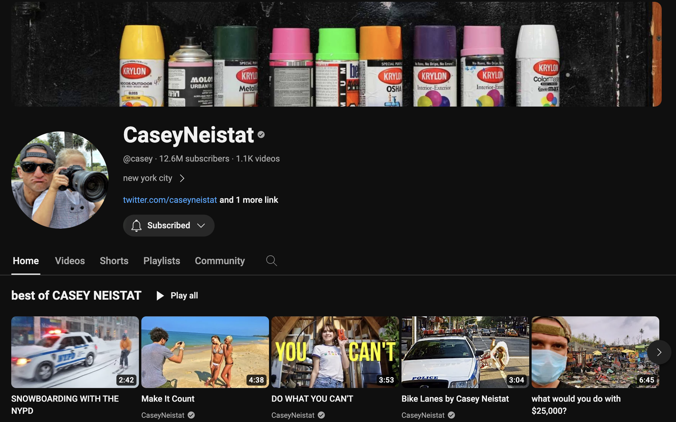 Casey Neistat - example of a vlog.