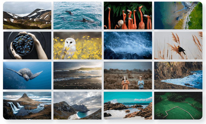 10Web Gallery example - Blog Tyrant 10Web Gallery example