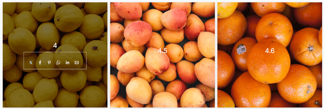 Modula gallery with image hover effects - Blog Tyrant Modula gallery with image hover effects